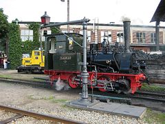 IMG_0062 (Medium)